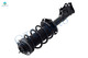 Set 4 Front Quick Complete Strut - Rear Shock For 2006 - 2011 Honda Civic LX, DX