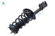 Pair Rear Quick Complete Strut-Coil Spring For 2008-2013 Toyota Highlander FWD