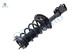 Pair Rear Quick Complete Strut-Coil Spring For 2008-2013 Toyota Highlander FWD