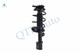 Set Front Quick Complete Strut-Coil Spring-Rear Shock For 2006-2011 KIA RIO Base