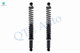 Pair of 2 Rear Complete Shock Absorber Kit For 2004-2014 Ford F-150