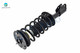 Front Left Quick Complete Strut-Coil Spring-Wheel Hub Bearing Assembly For 2002-2005 Saturn VUE V6