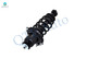 Rear Right Quick Complete Strut and Coil Spring For 2005 - 2010 Scion Tc L4