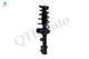 Rear Right Quick Complete Strut and Coil Spring For 2005-2010 Kia Sportage