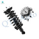Front Quick Complete Strut-Coil Spring-Wheel Hub Bearing Assembly For 2004-2007 Infiniti QX56 4WD
