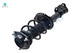 Front Right Quick Complete Strut-Coil Spring For 2013-2014 Hyundai Elantra Coupe