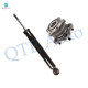 Rear Wheel Hub Bearing Assembly-Shock Absorber For 2015-2019 Nissan Murano FWD