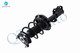 Front Left Quick Complete Strut-Coil Spring For 2013-2017 Hyundai Elantra GT