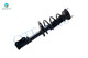 Rear Right Quick Complete Strut-Coil Spring-Wheel Hub Bearing Assembly For 2002 2003 Toyota Camry