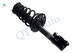 Set 4 Rear Quick Complete Strut-Coil Spring-Wheel Hub Bearing Assembly For 2007-2011 Toyota Camry SE