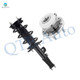 Front Left Quick Complete Strut-Coil Spring Assembly-Wheel Hub Bearing Assembly For 2013-2019 Ford Taurus V6