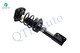 Set Rear Quick Complete Strut-Coil Spring-Wheel Hub Bearing To 1998-2002 Oldsmobile Intrigue