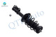 Set 4 Front Quick Complete Strut - Rear Shock For 2012 - 2020 Chevrolet Sonic