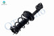 Rear Left Quick Complete Strut and Coil Spring For 2012 - 2017 Toyota Camry