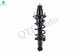 Rear Left Quick Complete Strut and Coil Spring For 2001-2005 Honda Civic