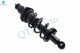 Rear Right Quick Complete Strut and Coil Spring For 2001-2005 Honda Civic