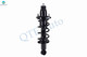 Rear Right Quick Complete Strut and Coil Spring For 2001-2005 Honda Civic
