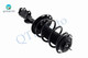 Front Right Lower Control Arm Ball Joint-Quick Complete Strut-Coil Spring Assembly For 2013-2018 Toyota RAV4