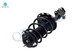 Front Right Lower Control Arm Ball Joint-Quick Complete Strut-Coil Spring Assembly For 2018-2021 Lexus NX300 F Sport