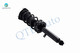 Set of 4 Front-Rear Quick Complete Strut-Coil Spring Assembly For 2002-2005 Lexus IS300 Wagon