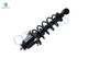 Rear Left Quick Complete Strut-Coil Spring Assembly-Wheel Hub Bearing Assembly For 2000-2005 Toyota Celica
