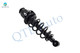 Rear Right Quick Complete Strut-Coil Spring Assembly-Wheel Hub Bearing Assembly For 2000-2005 Toyota Celica