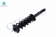 Rear Left Quick Complete Strut-Coil Spring Assembly-Wheel Hub Bearing Assembly For 2014 2015 2017 Honda Accord