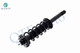 Rear Right Quick Complete Strut-Coil Spring Assembly-Wheel Hub Bearing Assembly For 2014 2015 2017 Honda Accord