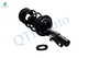 Front Right Quick Complete Strut-Coil Spring Assembly-Wheel Hub Bearing Assembly For 2013-2016 Dodge Dart