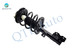 Front Right Quick Complete Strut-Coil Spring Assembly-Wheel Hub Bearing Assembly For 2004-2009 Nissan Quest