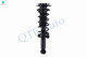 Rear Quick Complete Strut and Coil Spring Assembly For 2010-2012 Subaru Legacy