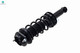 Rear Quick Complete Strut and Coil Spring Assembly For 2010-2012 Subaru Legacy