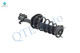 Set 4 Front-Rear Quick Strut-Coil Spring For 1999-2003 Lexus Rx300 V6 3.0L AWD