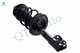 Front Right Sway Bar Link-Quick Complete Strut-Coil Spring Assembly For 2005 2006 Toyota Avalon