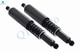 Rear Shock Absorber and Coil Spring Assembly For 2000-2006 2016-2022 Winnebago Spirit