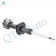 Front Right Suspension Bare Strut Assembly For 2014-2019 Nissan Versa Note