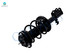 Pair of 2 Front Left-Right Quick Complete Strut-Coil Spring For 2000-2005 Toyota Celica