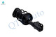 Pair of 2 Front Left-Right Quick Complete Strut-Coil Spring For 2000-2005 Toyota Celica