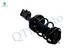 Set of 4 Front Quick Complete Strut-Coil Spring-Rear Strut For 2000-2005 Toyota Celica