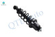 Rear Left Quick Complete Strut-Coil Spring For 2000-2005 Toyota Celica