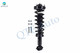 Front Left Sway Bar Link-Quick Complete Strut-Coil Spring Assembly For 2015-2020 Ford F-150 RWD