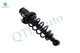 Set of 4 Front-Rear Quick Complete Strut-Coil Spring For 2000-2005 Toyota Celica