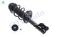 Front Right Quick Complete Strut-Coil Spring For 2012-2017 Hyundai Accent