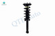 Rear Quick Complete Strut-Coil Spring Assembly For 2000 Nissan Maxima