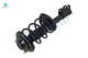 Front Right Quick Complete Strut-Coil Spring Assembly For 2000 Nissan Maxima