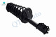 Set of 4 Front Strut-Rear Quick Complete Strut-Coil Spring For 2000-2002 Hyundai Accent