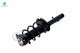 Front - Rear Quick Complete Strut-Coil Spring For 2014-2018 Ford Focus