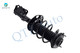 Front Right Quick Complete Strut - Coil Spring For 2010-2015 Toyota Prius