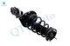 Rear Left Quick Complete Strut-Coil Spring Assembly For 2013-2018 Lexus Es350