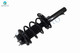 Set 4 Front Quick Complete Strut-Coil Spring-Rear Shock For 2006 2007 Ford Focus